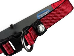 Sleepypod Locking Martingale Dog Collar, Cranberry, Small: 11 to 15-in neck, 0.75-in wide