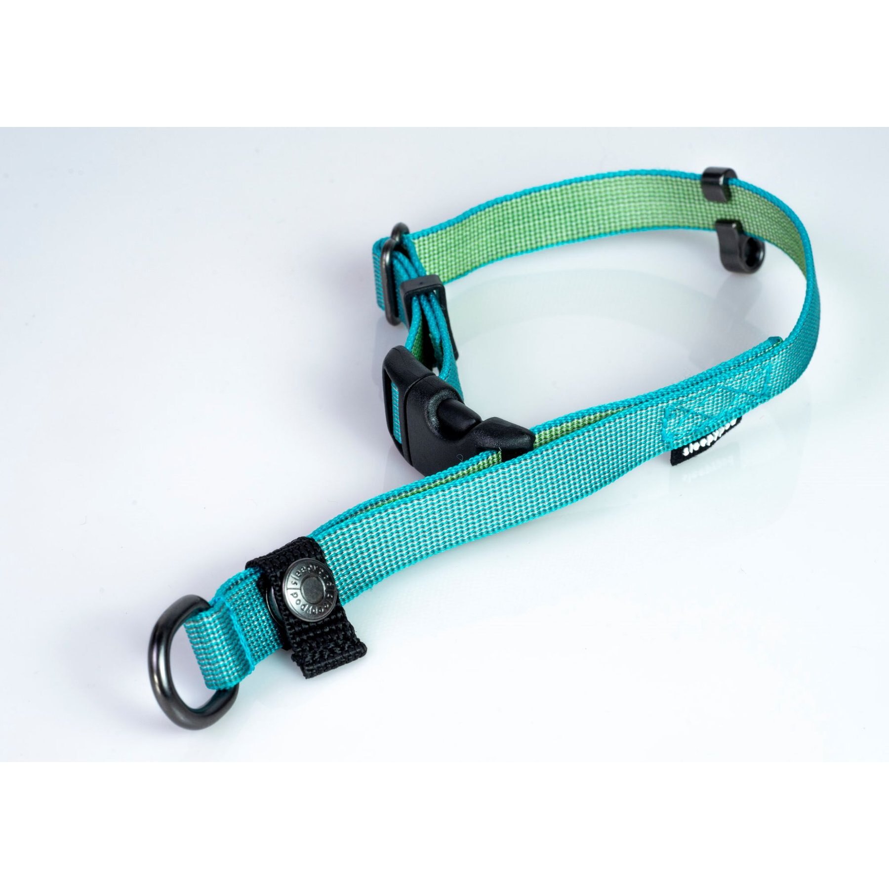Sleepypod Locking Martingale Dog Collar, Blue Lagoon, Small: 11 to 15-in neck, 0.5-in wide