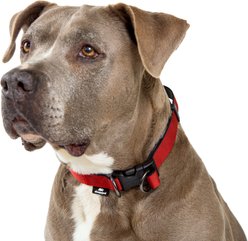 Sleepypod Power Dog Collar, Cranberry, 19 to 29-in neck, 1-in wide slide 1 of 2