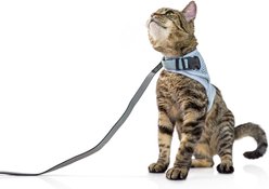 Sleepypod Martingale Plus Cat Harness, Glacier Silver, Small: 11 to 14-in chest slide 1 of 2