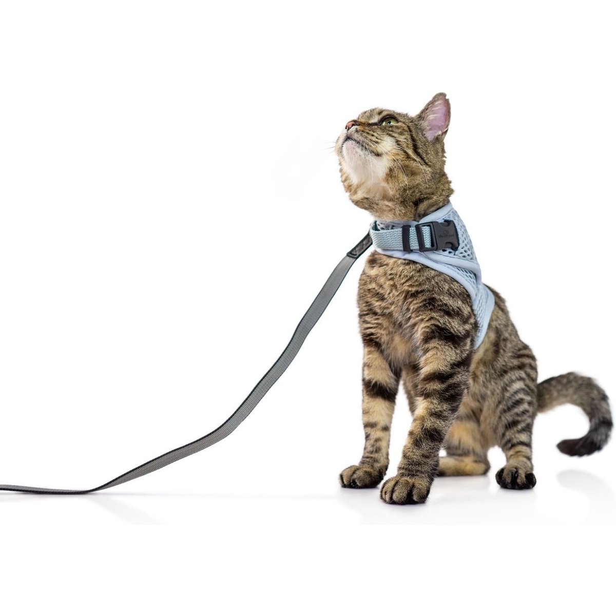 Sleepypod Martingale Plus Cat Harness, Glacier Silver, Large: 18 to 21-in chest