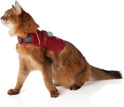 Sleepypod Martingale Plus Cat Harness, Strawberry Red, Small: 11 to 14-in chest