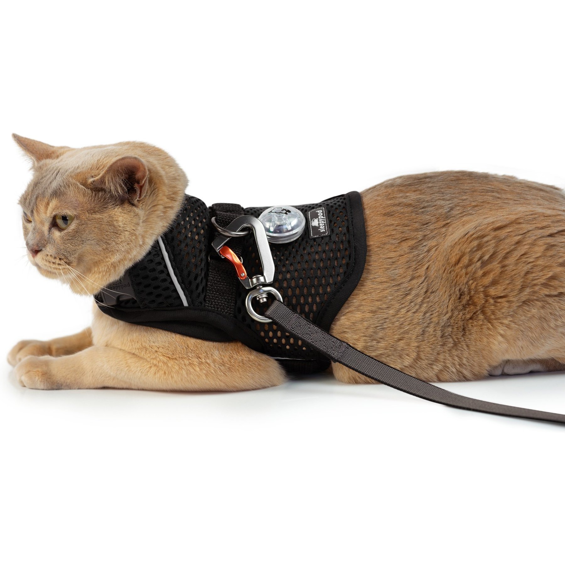 Sleepypod Martingale Plus Cat Harness, Jet Black, Small: 11 to 14-in chest