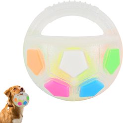 Pet Fit For Life Ball with Handle Dog Toy