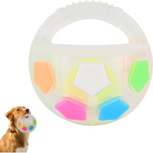 Pet Fit For Life Ball with Handle Dog Toy