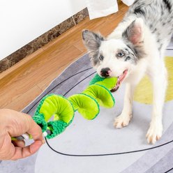 gerhui Spiral Long Necked Frog Plush Dog Toy, Green slide 2 of 6