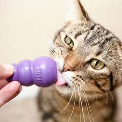 KONG Kitty KONG Cat Toy slide 2 of 4