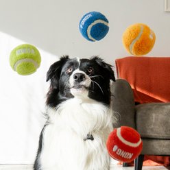 KONG Sport Softies Dog Ball Toy, Assorted, Medium, 3 count slide 2 of 8