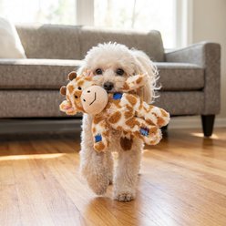 KONG Wild Knots Giraffe Dog Toy, Yellow, Small/Medium slide 2 of 6