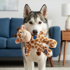 KONG Wild Knots Giraffe Dog Toy, Yellow, Medium/Large slide 2 of 6
