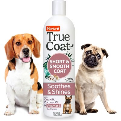 Hartz Hartz True Coat Short & Smooth 5 in 1 Soothes & Shines with Oat Milk, Coconut Oil & Vitamin E Dog Shampoo, 16-fl oz bottle