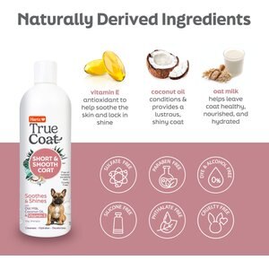 Hartz True Coat Short & Smooth 5 in 1 Soothes & Shines with Oat Milk, Coconut Oil & Vitamin E Dog Shampoo, 16-fl oz bottle