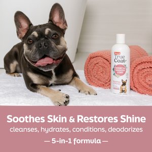 Hartz True Coat Short & Smooth 5 in 1 Soothes & Shines with Oat Milk, Coconut Oil & Vitamin E Dog Shampoo, 16-fl oz bottle