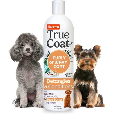 Hartz Hartz True Coat Curly or Wavy 5 in 1 Detangles & Conditions with Oat Milk, Coconut Oil & Shea Butter Dog Shampoo, 16-fl oz bottle