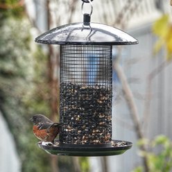 Natures Way Bird Products Midnight Metal Mesh Mixed Seed & Peanut Wild Bird Feeder, Blue, 2.75 quart, 3.9-lb slide 2 of 8