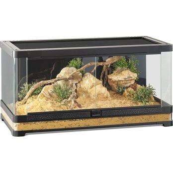 EXO TERRA REPTILE TERRARIUMS (Free Shipping) | Chewy