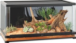 Exo Terra Vista 120XL Panoramic Horizontal Reptile Terrarium, 47-in