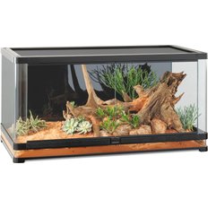 EXO TERRA REPTILE TERRARIUMS (Free Shipping) | Chewy