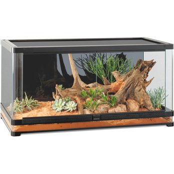 EXO TERRA REPTILE TERRARIUMS (Free Shipping) | Chewy