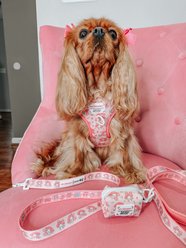 Sassy Woof My Melody Adjustable Dog Harness, Small: 16 to 21-in chest slide 2 of 8