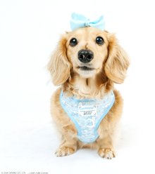 Sassy Woof Cinnamoroll Adjustable Dog Harness, X-Small: 14 to 19-in chest slide 2 of 7