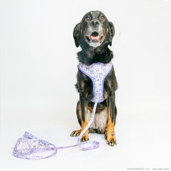 Sassy Woof Kuromi Dog Waste Bag Holder slide 2 of 7
