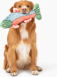 Gnawsome Durable Salmon Plush Dog Toy slide 2 of 5