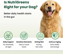 Kayode Canine NutriGreens Chews Vitamin & Probiotic Supplement for Dogs, 90 count slide 2 of 8