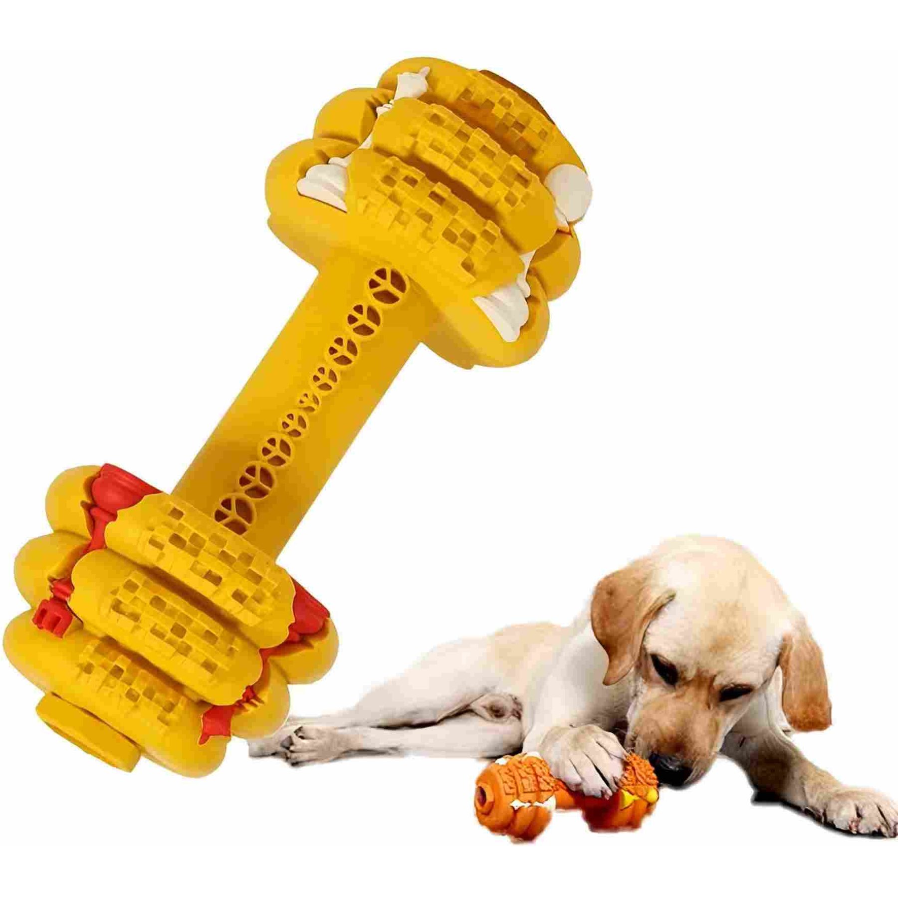 Petopia Circular Dumbbell Interactive Tough Chewer Dog Toy, Medium, Yellow