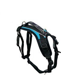 FitPAWS Made To Move Dog Harness, Black, Medium: 22.5 to 34.5-in chest