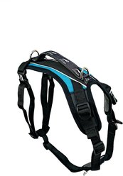 FitPAWS Made To Move Dog Harness, Teal, Small: 19 to 29.5-in chest slide 1 of 9