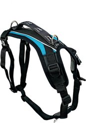 FitPAWS Made To Move Dog Harness, Teal, X-Small: 14 to 21.5-in chest