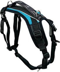 FitPAWS Made To Move Dog Harness, Teal, Medium: 22.5 to 34.5-in chest