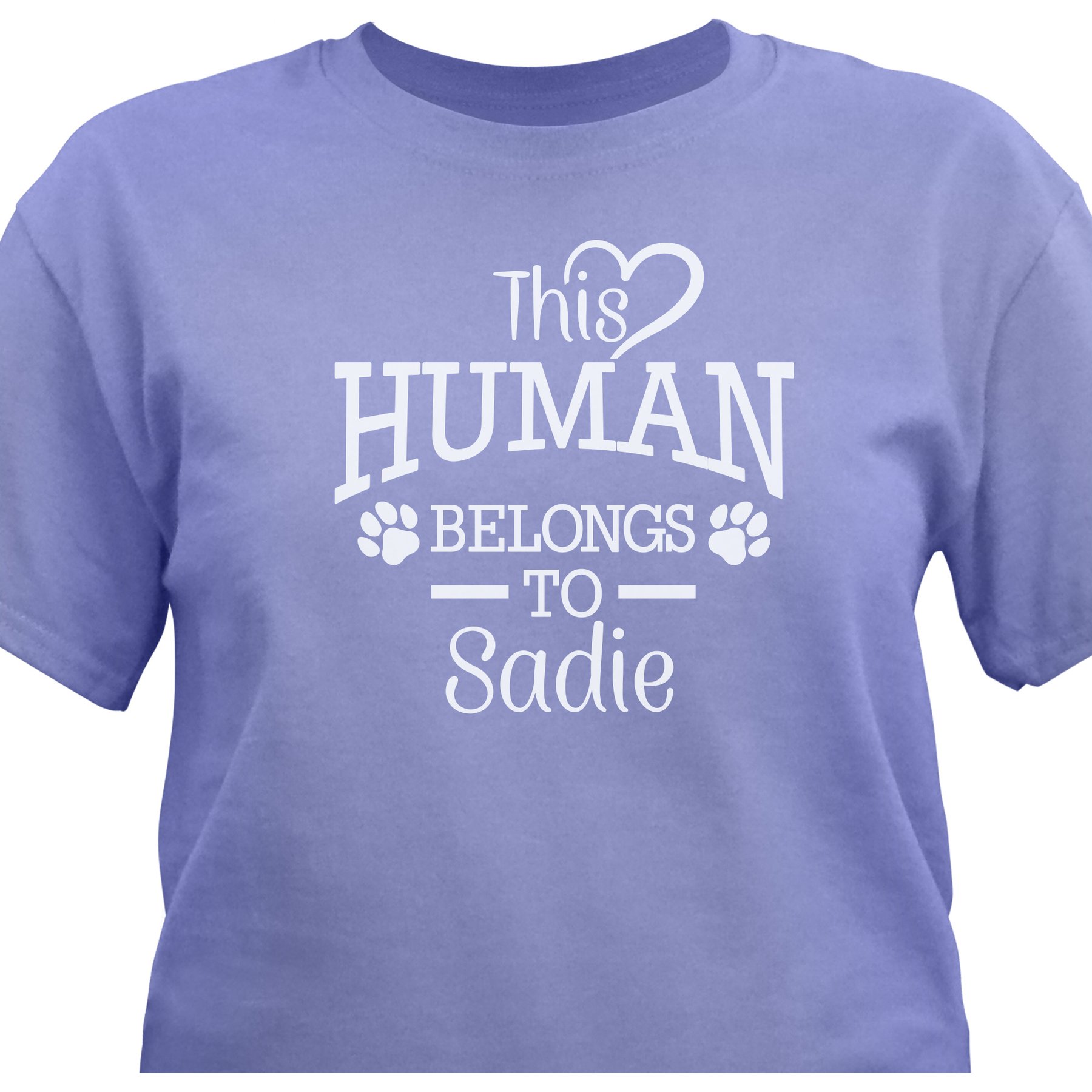PGS This Human Belongs to T-Shirt, Violet, XX-Large
