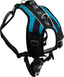 FitPAWS Made To Move Dog Harness, Teal, Large: 36 to 60.5-in chest slide 2 of 9