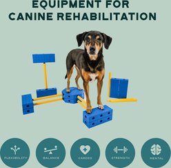 FitPAWS FitKinect Xtra Dog Training Tool, Blue slide 2 of 9