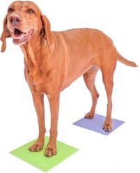 FitPAWS TRAX Dog Training Targets, Periwinkle, 2 count