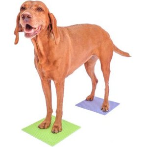 FITPAWS K9FITbone Dog Training Mini Regular Balancing Bone, Blue