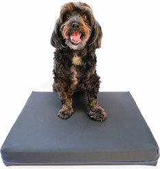 FitPAWS Dog Training Balance Pad Grip Cover