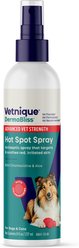 Vetnique Labs DermaBliss Advanced Vet Strength Hot Spot Antiseptic Chlorhexidine Dog & Cat Skin Spray, 8-oz bottle