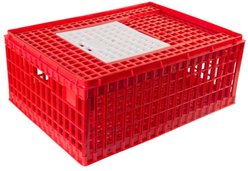 Hatching Time Deep Top Door Chicken Transport Coop