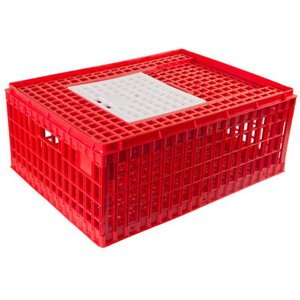Hatching Time Deep Top Door Chicken Transport Coop