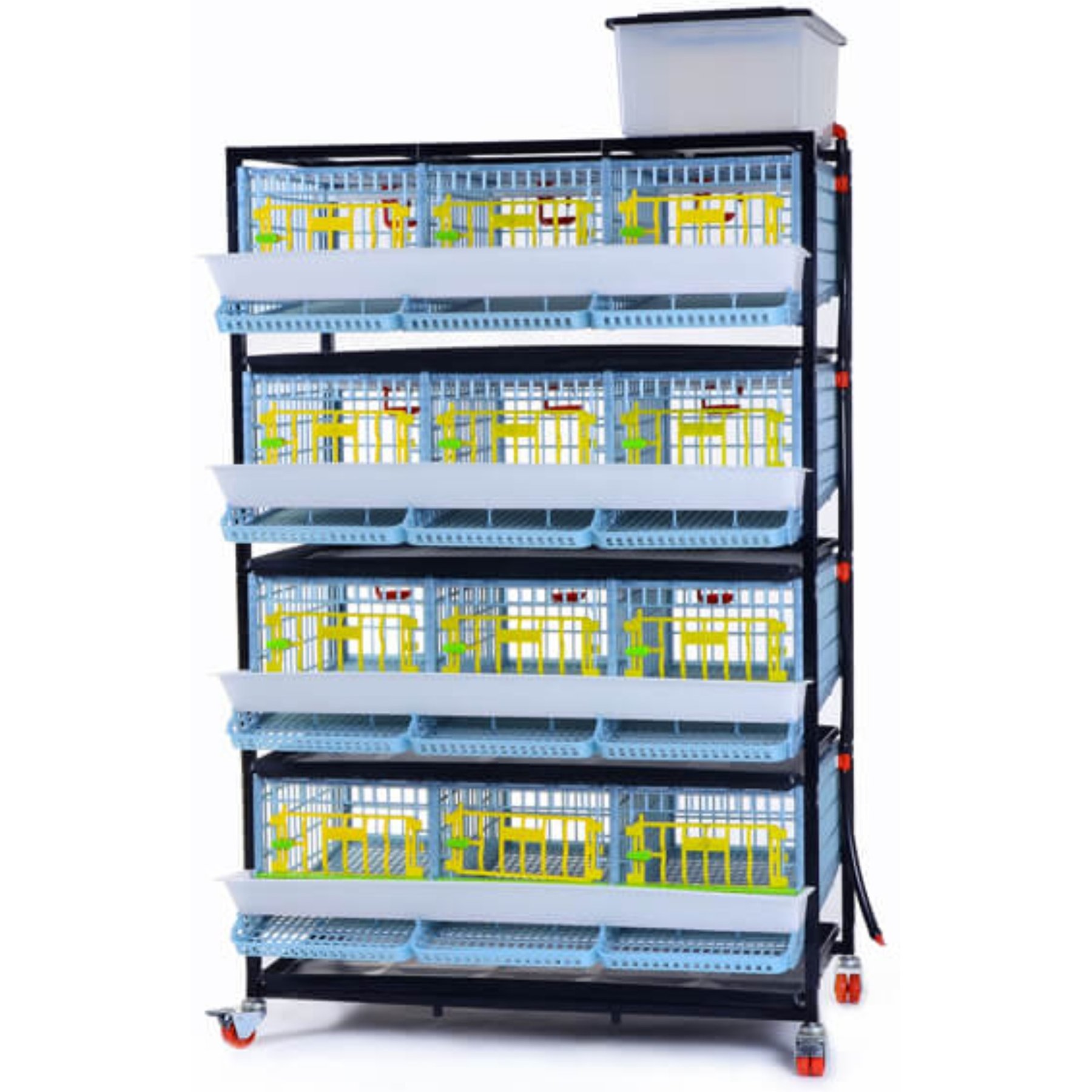 Hatching Time Comfortplast Traditional Quail Cage, 4 Layer