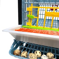 Hatching Time Comfortplast Traditional Quail Cage Addition, Single Layer slide 2 of 8