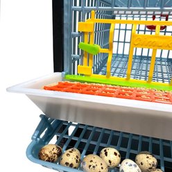 Hatching Time Comfortplast Jumbo Quail Cage Addition, Double Layer slide 2 of 8