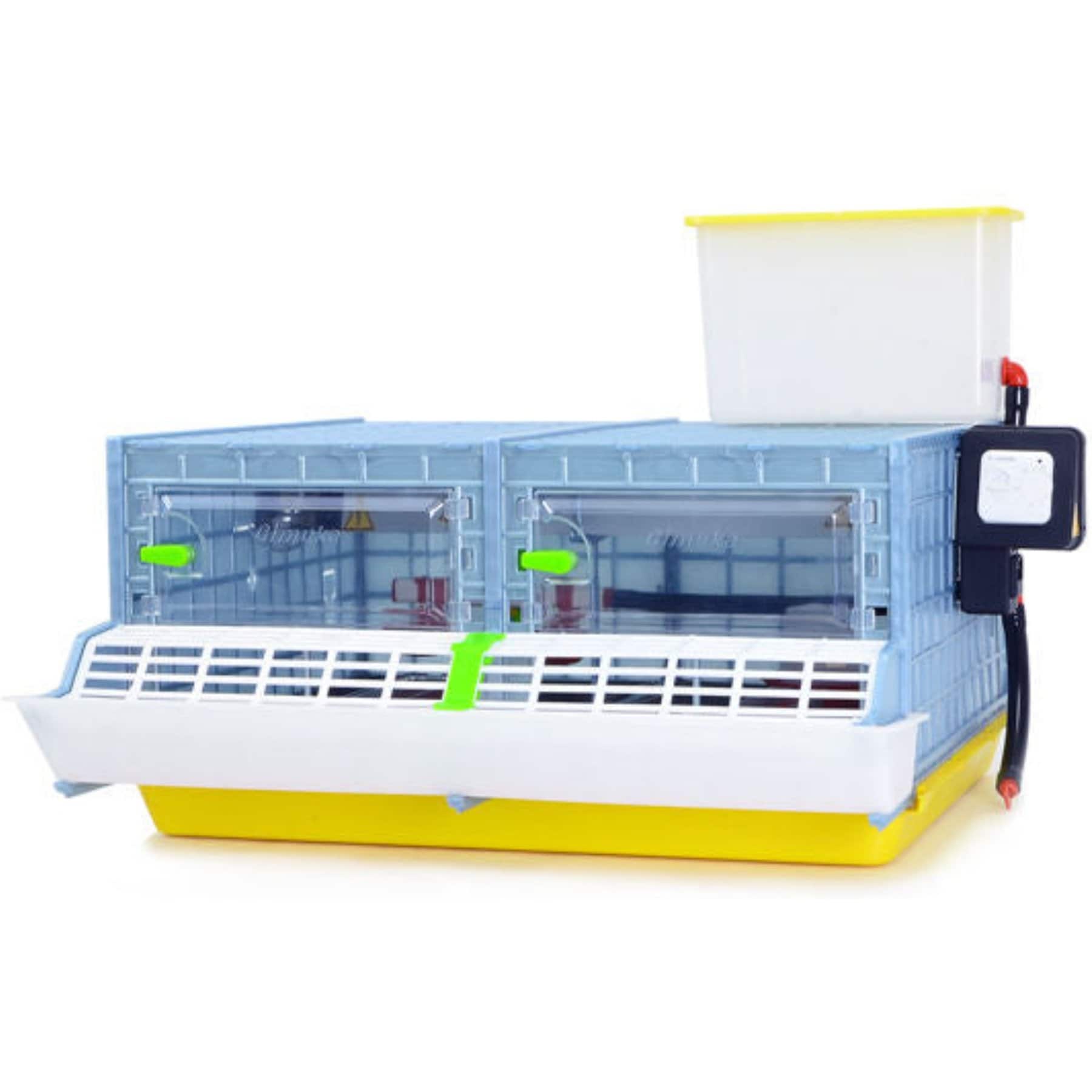Hatching Time 2 Section Chick Brooder, 9.5-in