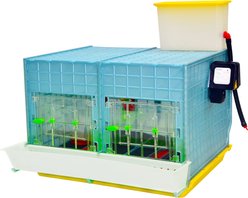 Hatching Time 2 Section Chick Brooder, 15-in