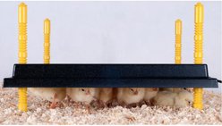Hatching Time Chick Heating Plate, 10 x 10-in slide 2 of 4