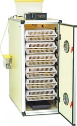 Hatching Time CT180 H Egg Incubator Hatcher