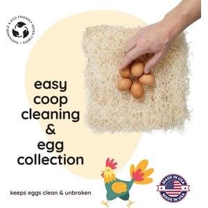 Hatching Time Premium Chicken Nesting Pads, 40 count